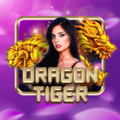 wg777 Dragon Tiger live casino